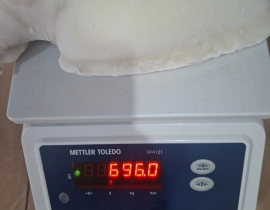 MỰC NANG LÀM SẠCH SIZE 500-1000G NET 7